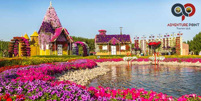  Miracle Garden Dubai City Tour 