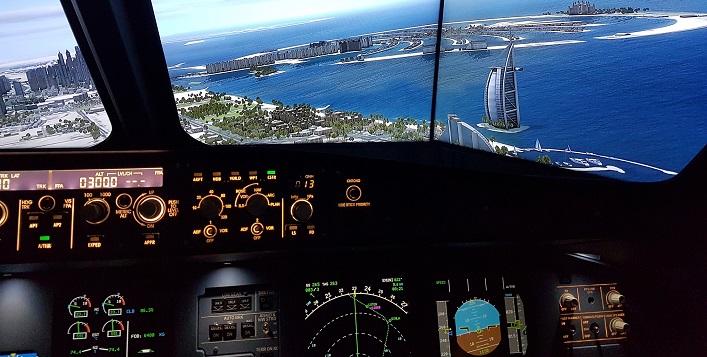 Flight simulation experience