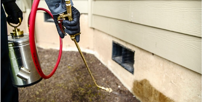 General Pest control