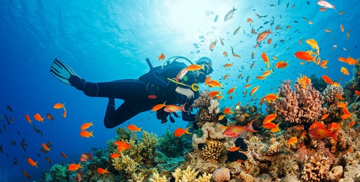 Diving Session for Adventure