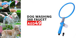Dog 360 Washing