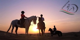 45 min Horse Riding Lessons