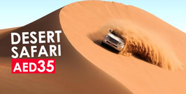 Desert Safari with Transport