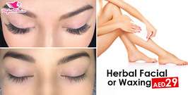 Herbal Facial and Waxing