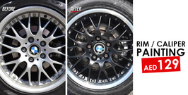 Rim and Calipers painting