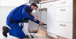 Pest Control Service