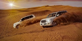 Desert Safari Options