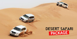 Desert Safari Package
