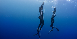Freediving course.