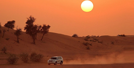 Abu Dhabi Morning Desert Safari