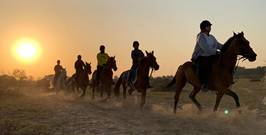 Horse riding dubai Lesson