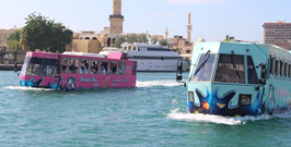 Wonder Bus sightseeing tour