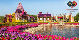 Miracle Garden Dubai City Tour