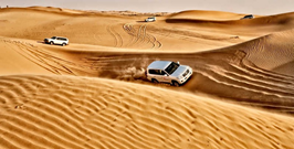 Evening Desert Safari in Abu Dhabi