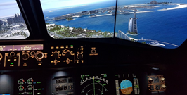 Flight simulation experience