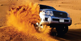 Evening Desert Safari