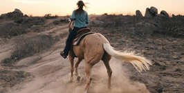 Horse Riding Dubai.