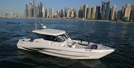 The Palm Speed Boat Cruise
