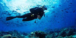 Try Dive and Scuba Diving