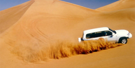VIP Desert Safari with Pickup.
