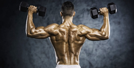 Body Building Gym Membership