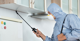 Pest Control Services