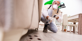 Home Office disinfection