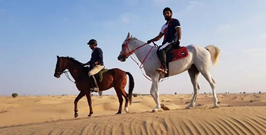 Horse Riding in Dubai.