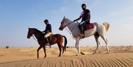 Horse Riding in Dubai