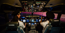 Flight simulator experience