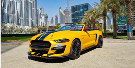 Car Rental Services in Dubai
