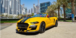 Car Rental Services in Dubai.