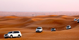 Premium Desert Safari