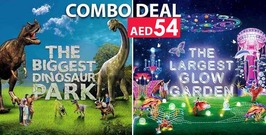 Garden Glow and Dino Park
